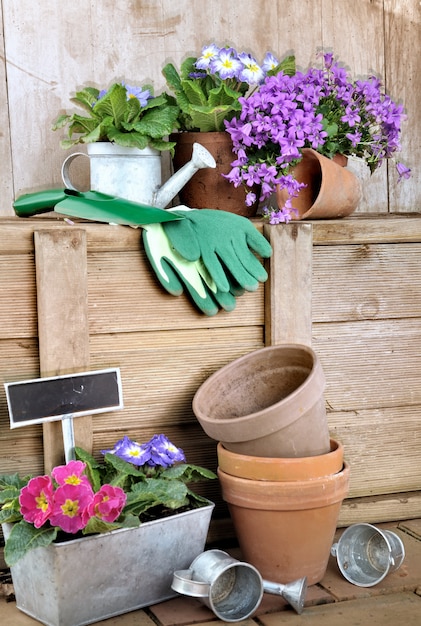 Pots de fleurs et accessoires de jardinage