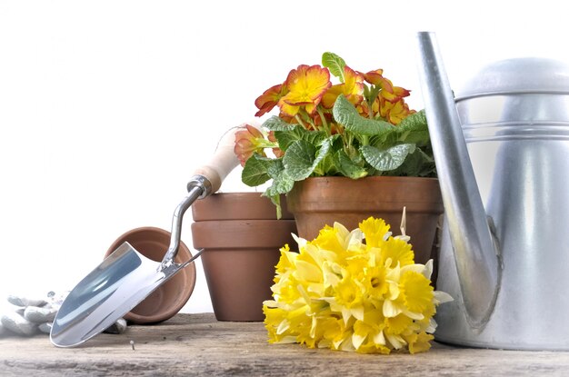 Pots de fleurs et bouquet de jonquilles avec accessoires de jardin sur une table