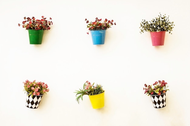 pots de fleurs colorées accrochent sur le mur