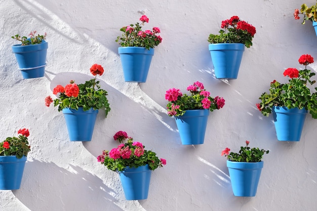 Photo pots de fleurs décorant un mur blanc dans la vieille ville de marbella