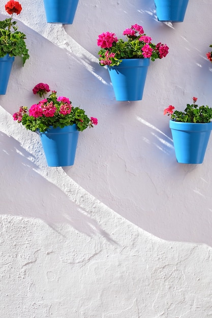 Pots de fleurs décorant un mur blanc dans la vieille ville de Marbella