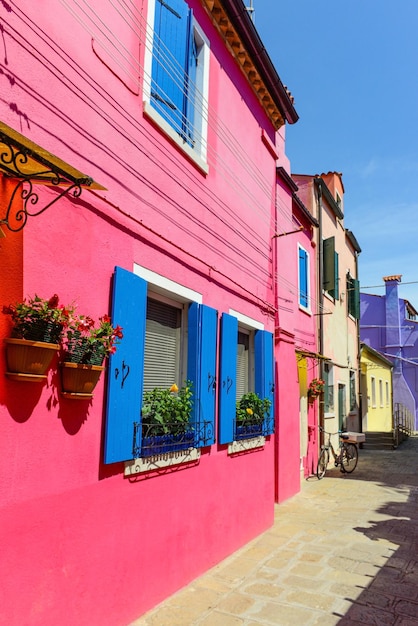Des pots de fleurs décorent les murs et les fenêtres bleues de la maison rose