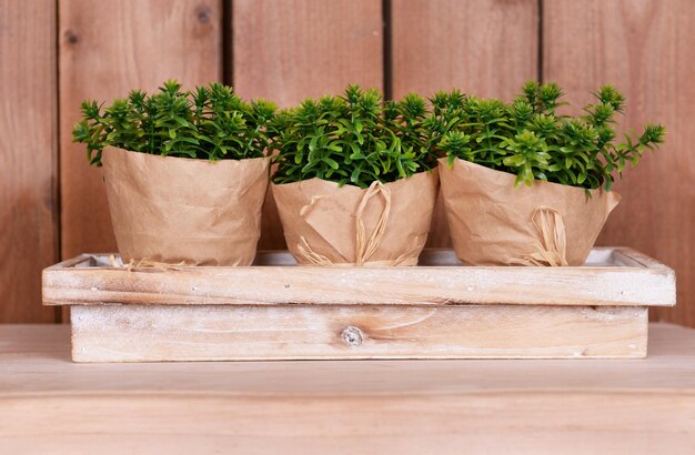 Photo pots de fleurs enveloppés sur support sur table sur fond de bois