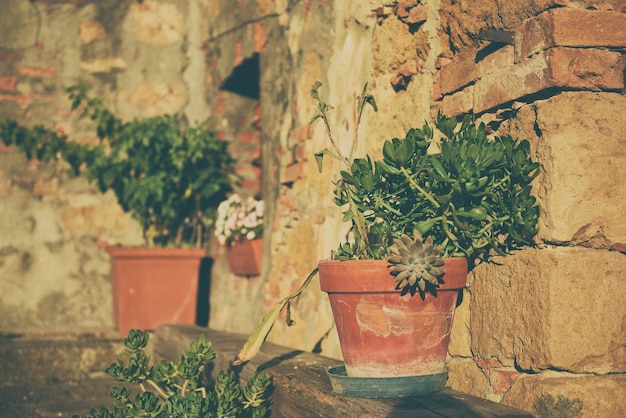 Pots à fleurs