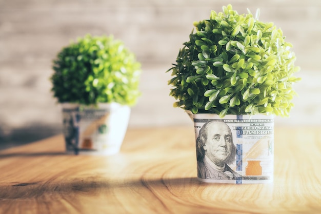 Photo pots de plantes en dollars