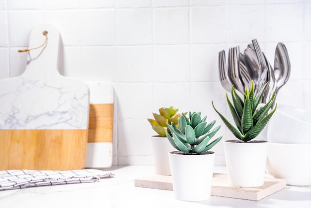 Pots de plantes grasses sur table de cuisine