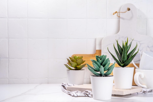 Pots de plantes grasses sur table de cuisine