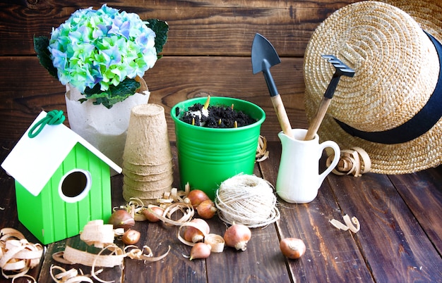 Des pots de tourbe, des bidons d’eau, des nichoirs et des bulbes de tulipes.