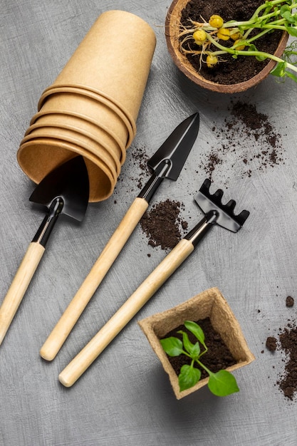 Pots de tourbe avec germes de pois Outil de jardin pour planter des semis