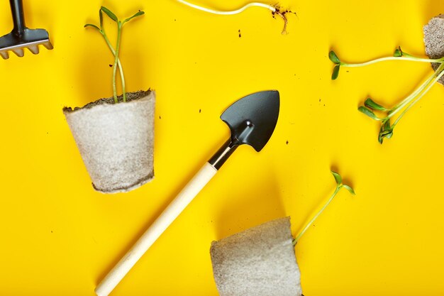 Photo pots de tourbe à plat outils de jardinage et verts sur fond jaune