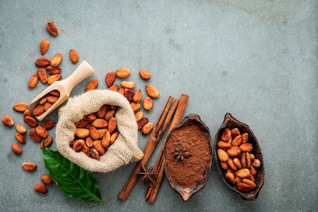 Poudre de cacao et fèves de cacao sur fond de béton.