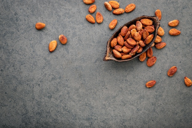 Poudre de cacao et fèves de cacao sur fond de pierre.