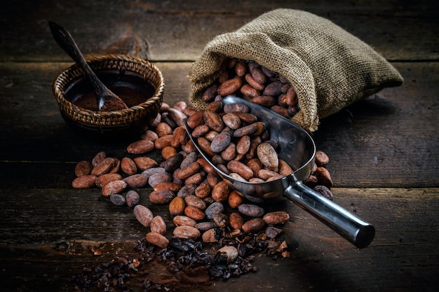 Poudre de cacao
