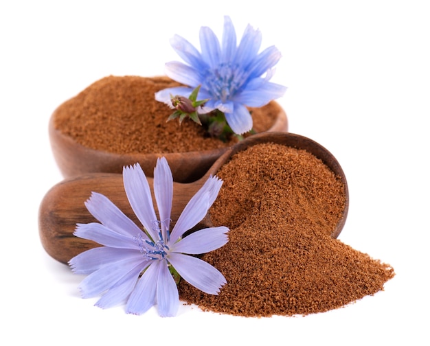 Poudre et fleur de chicorée dans un bol et une cuillère en bois, isolés sur fond blanc. Cichorium intybus.