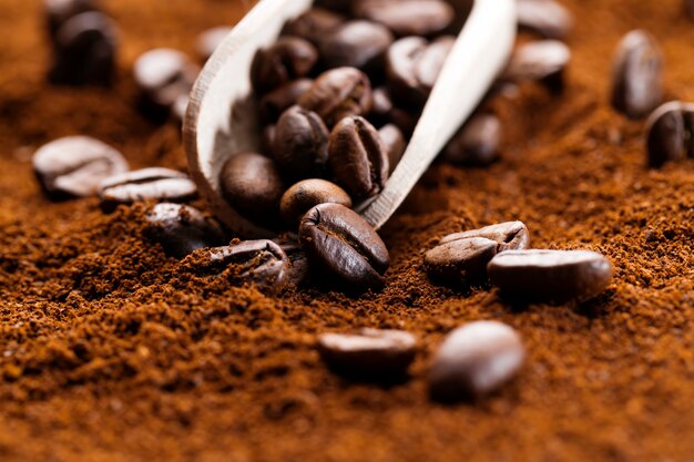 De la poudre de grains de café et des grains entiers, des grains de café torréfiés sont placés sur du café moulu, des ingrédients pour préparer une boisson au café chaude et revigorante
