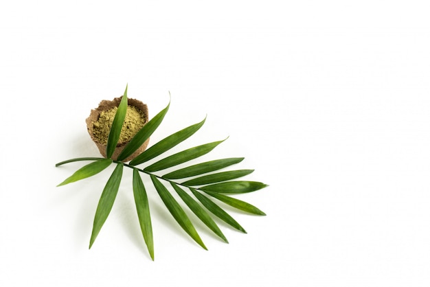 Poudre de henné pour teindre les cheveux et les sourcils et dessiner sur les mains, avec une feuille de palmier verte