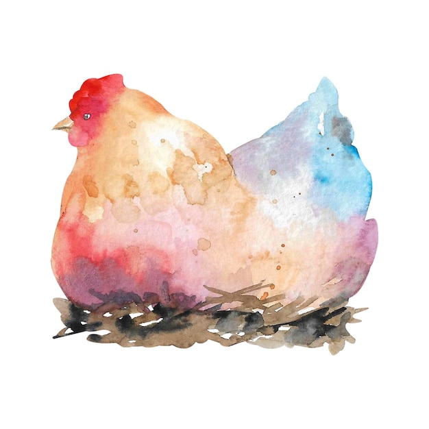 Poule dans le nid Illustration aquarelle Nid de poulet Illustration d'oiseau de ferme Poulets domestiques Illustration animale