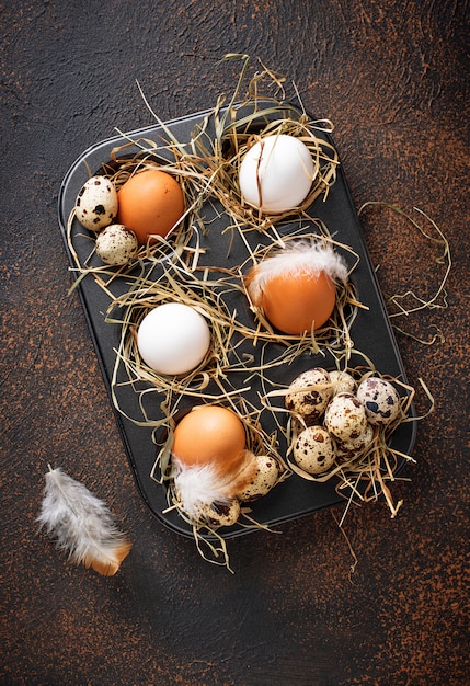 Poulet cru frais et oeufs de caille dans un tamis