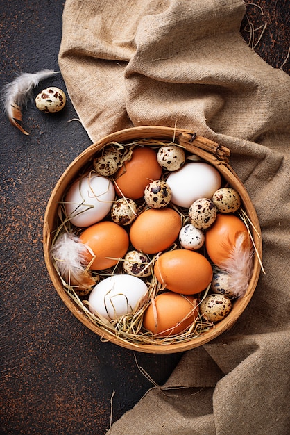 Poulet cru frais et oeufs de caille dans un tamis