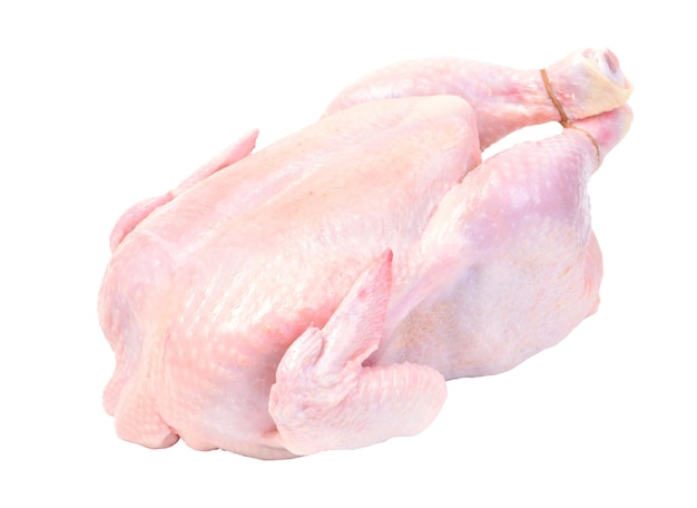 Poulet sur fond blanc isolé