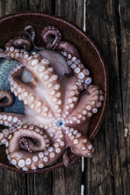 Le poulpe est cru prêt à cuire Libre d'une délicatesse de fruits de mer de poulpe cru frais