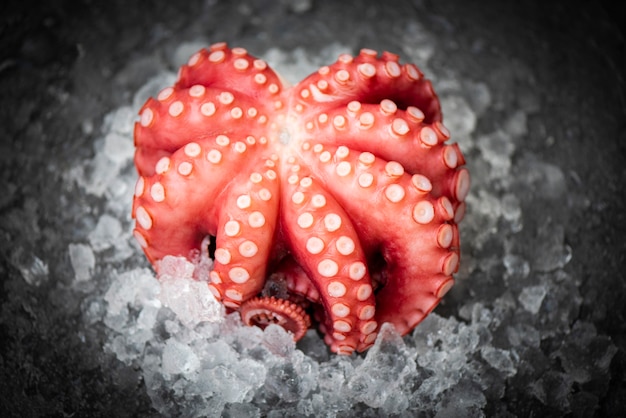 Poulpe frais sur glace et fond sombre, tentacules de poulpe entiers bouillis de fruits de mer calmar seiche