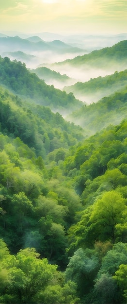 pour la publicité et la bannière en tant que canopée forestière Un canopée d'aquarelle de verdure forestière à partir d'un œil d'oiseau