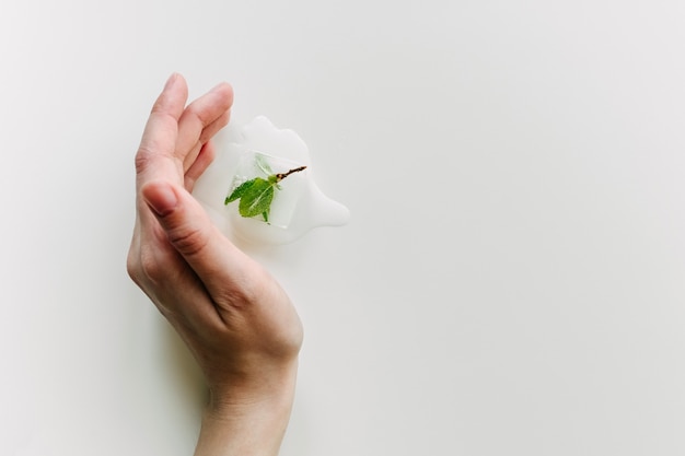 Pousse de petite plante congelée dans un glaçon