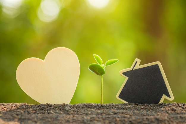 Pousse verte poussant dans le sol et le coeur en bois et le symbole de la maison sur la lumière du soleil extérieure et le flou vert Love tree, Save world ou concept de croissance et d'environnement