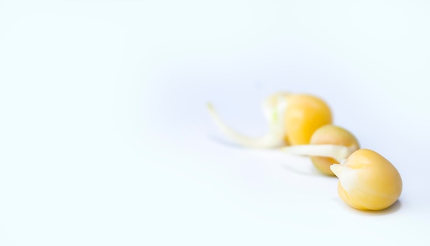 Pousses de pois isolés sur fond blanc