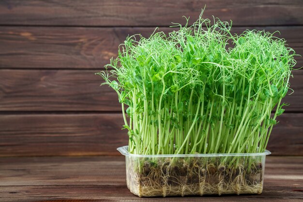 Pousses de pois Microgreen sur table en bois.