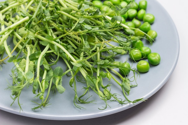 Pousses de pois verts et pois verts sur plaque grise