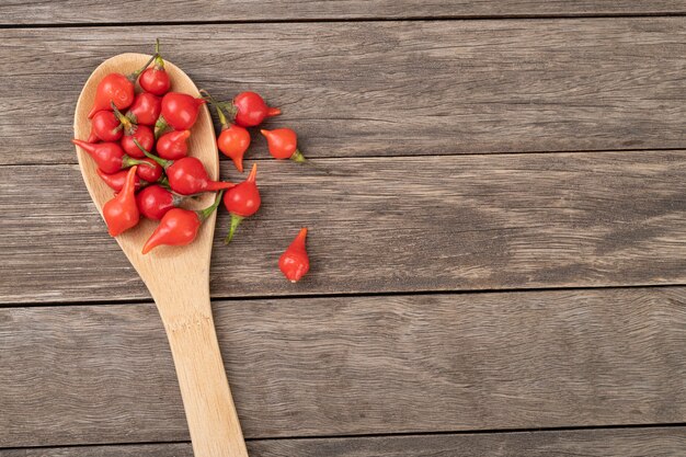 Poutre au poivron rouge sur une cuillère sur une table en bois.