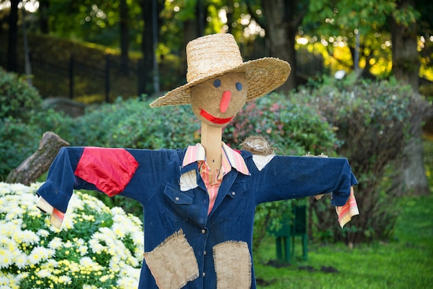 Épouvantail souriant dans un potager dans une campagne.