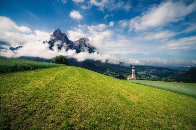 Photo prairie alpine d'été