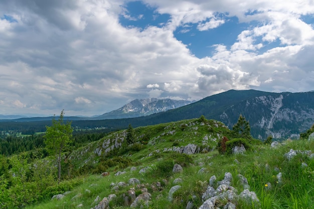 Une prairie calme pittoresque dans une forêt parmi les hautes montagnes massives