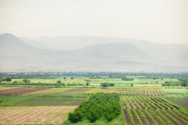 Prairie, collines et ciel bleu