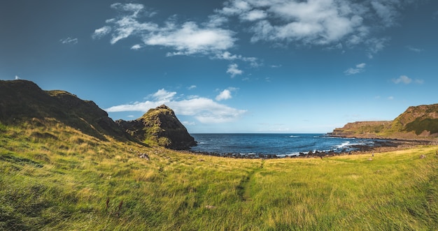 Prairie couverte d'herbe verte à côté de l'océan. Vue panoramique de l'Irlande du Nord. Arrière-plan d'horizon écrasant. Image parfaite pour la création de différents types de collages et d'illustrations.