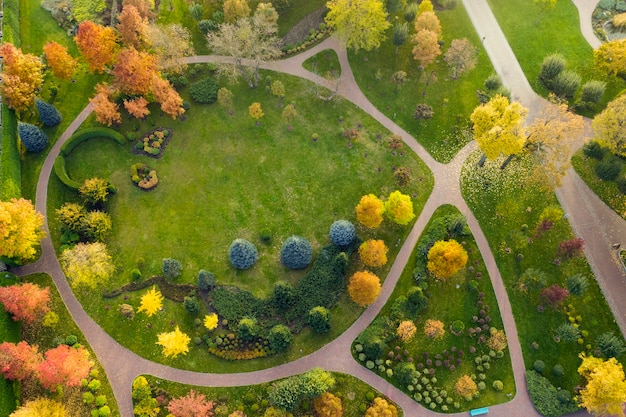 La prairie est entourée d'arbres jaunes et verts, paysage d'automne. Vue de drone.