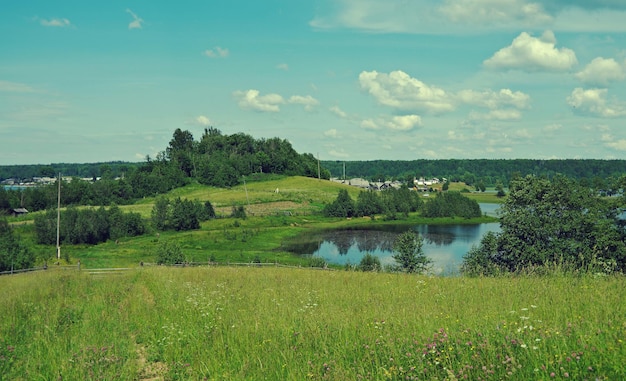 Prairie d'été russe.Région d'Arkhangelsk, Russie