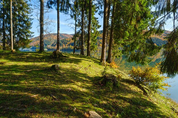 Photo prairie forestière sur la rive du lac pittoresque vilshany réservoir d'eau sur la rivière tereblya transcarpatie ukraine belle journée d'automne dans les montagnes des carpates