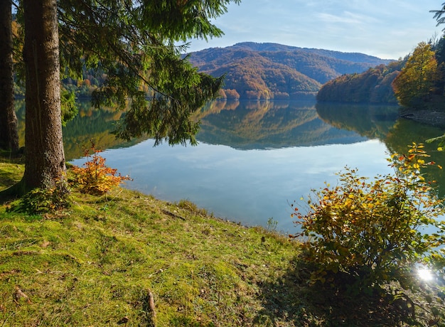 Prairie forestière sur la rive du lac pittoresque Vilshany réservoir d'eau sur la rivière Tereblya Transcarpatie Ukraine Belle journée d'automne dans les montagnes des Carpates