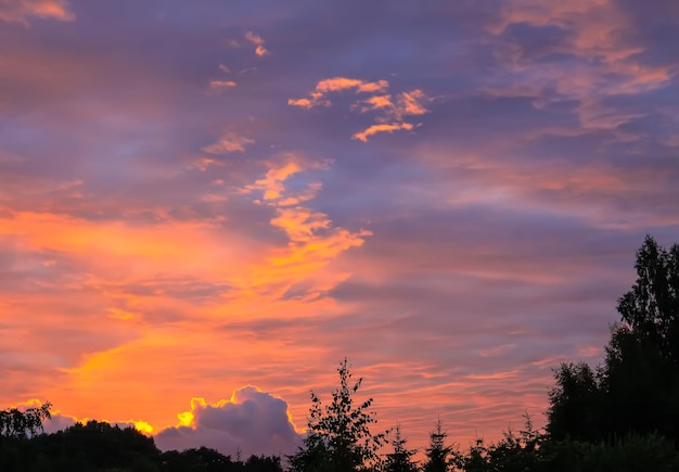 Prairie d'herbe dans la lumière du coucher du soleil Vue panoramique sur la nature Soirée d'été dans la campagne