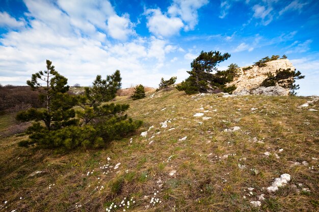 Prairie d'herbe verte parsemée de pierres et de rochers