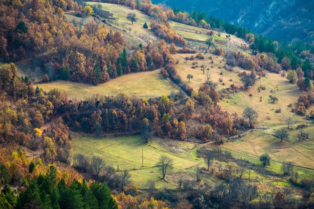 Prairie de montagne colorée avec des arbres en automne