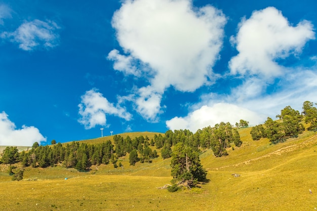 Prairie de montagne à la lumière du matin. paysage printanier de campagne avec vallée dans le brouillard derrière la forêt sur la colline herbeuse. nuages duveteux sur un ciel bleu clair. concept de fraîcheur de la nature