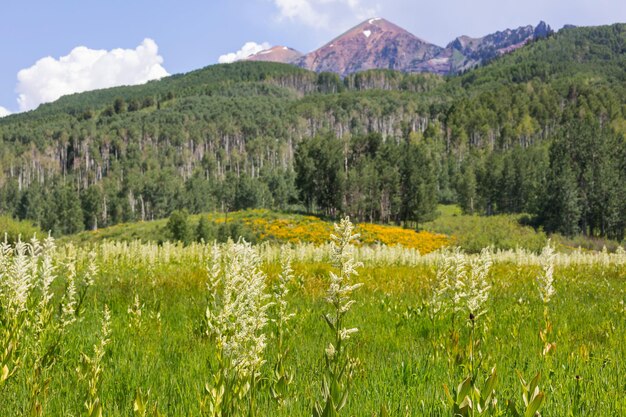 Prairie des montagnes