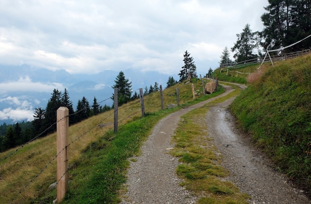 Prairie nature dans les montagnes des alpes autrichiennes