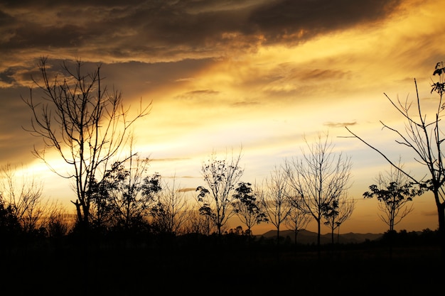 Prairie sèche et beau ciel nuageux