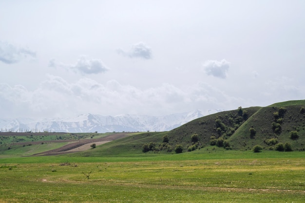 prairie verte au printemps sur fond de montagnes avec un ciel nuageux